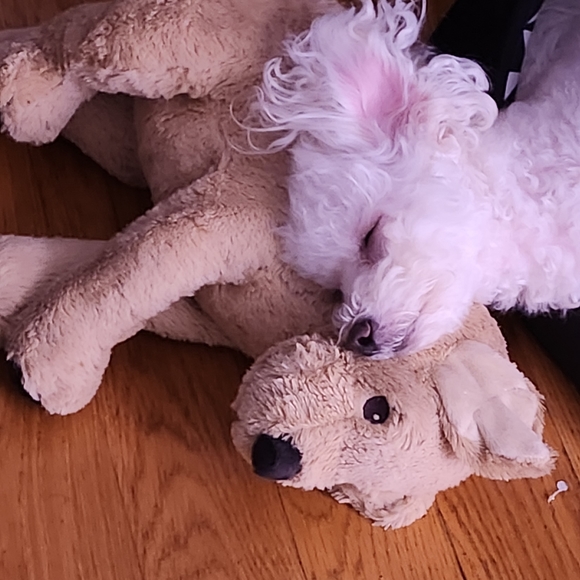 Meet your Posher, Juvyleen - Picture 1 of 1